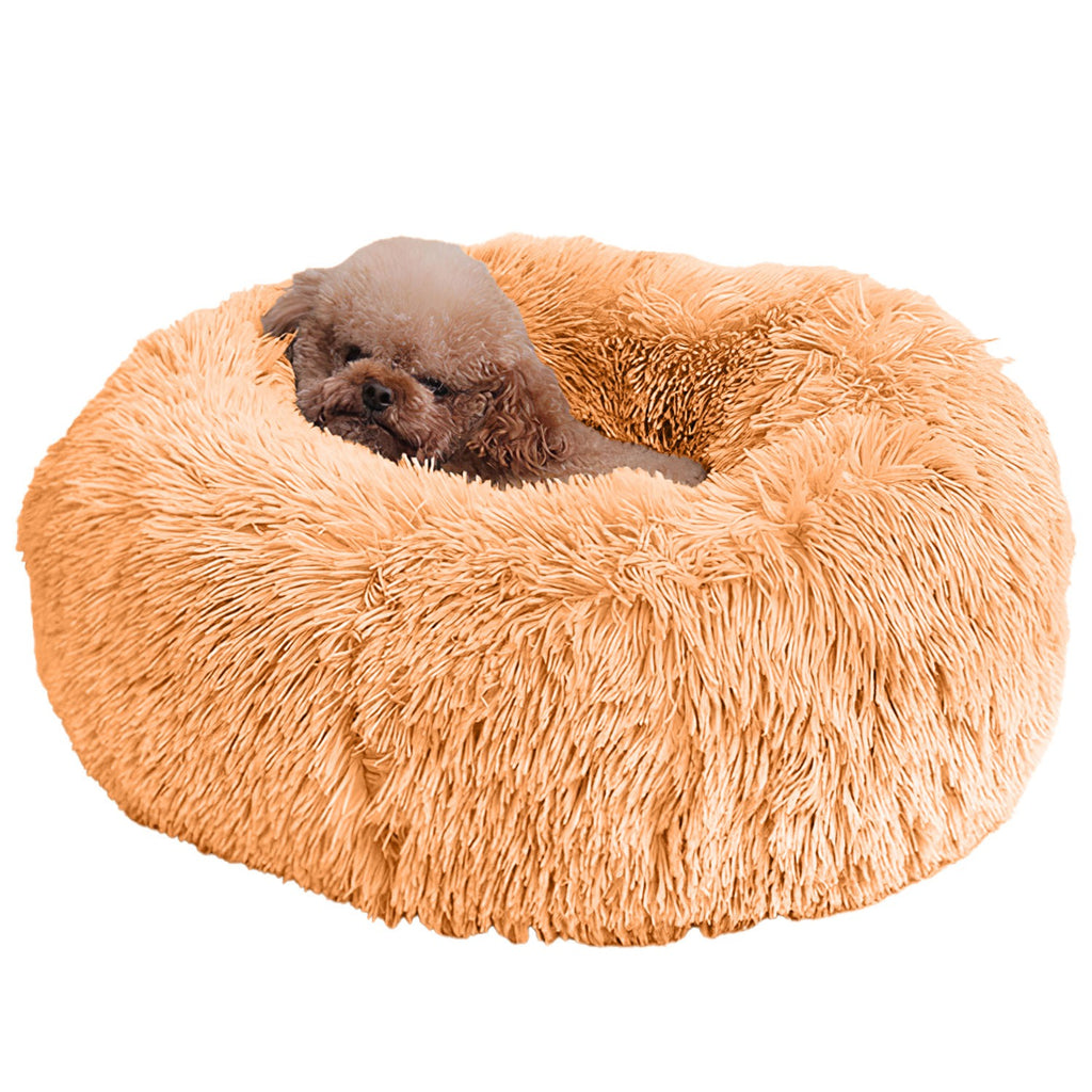 508caa5d74e2d2b981f4517002c4010b